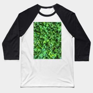 Grass (Small leaf spiderwort) texture background Baseball T-Shirt